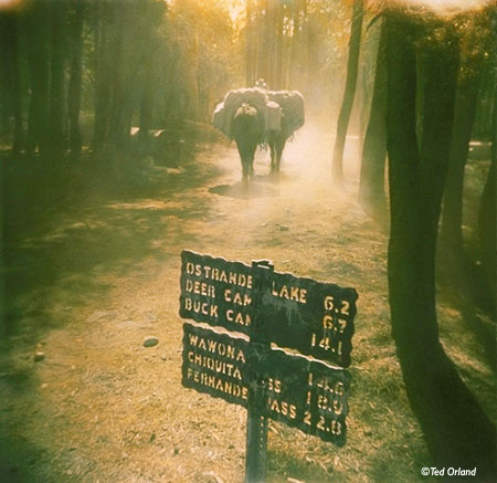 On the Trail